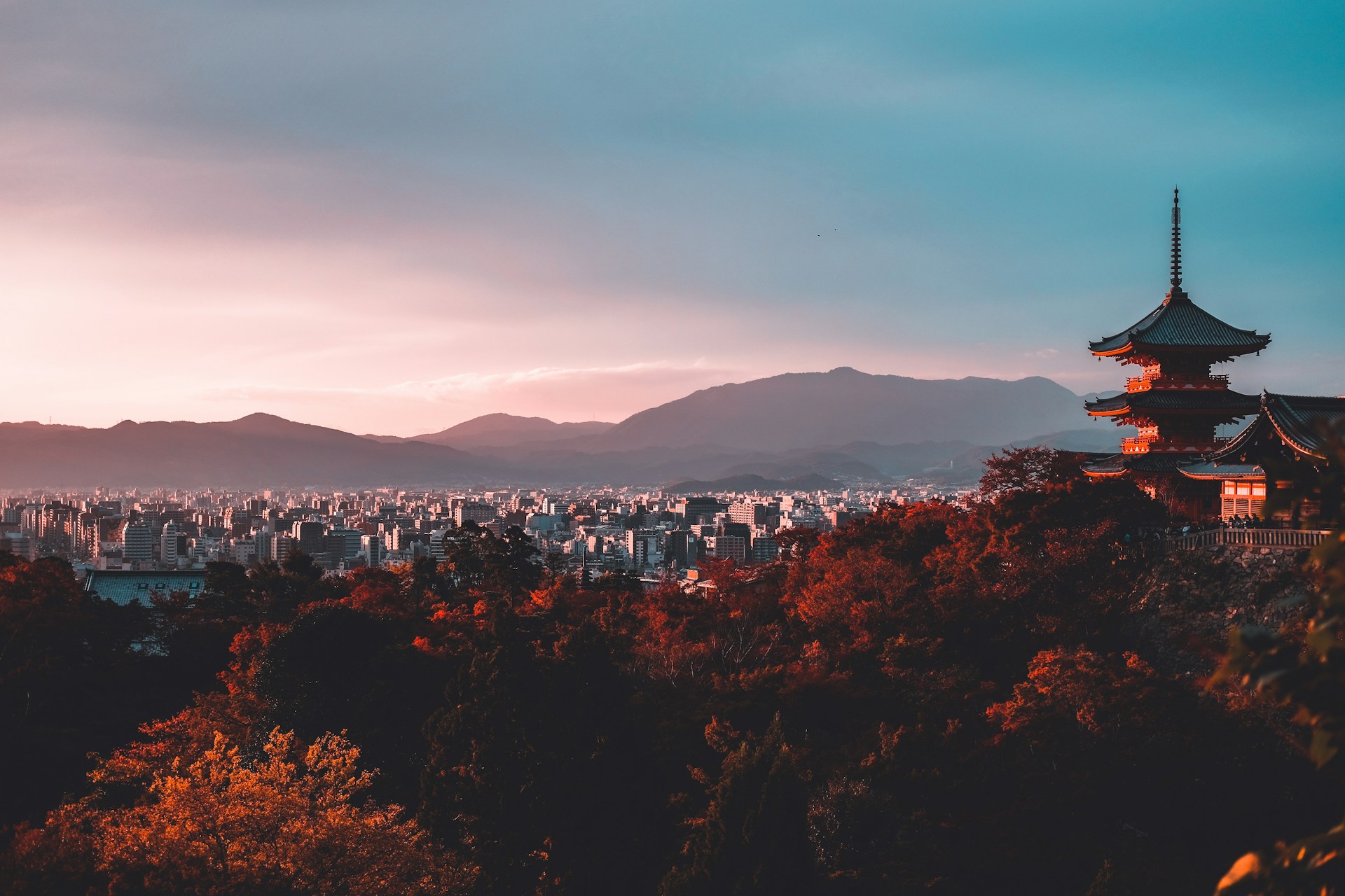 日本庭園の風景