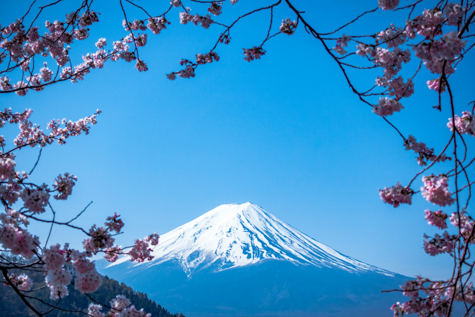 富士山の風景